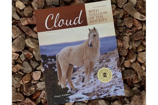 NEW DESIGN! * Cloud: Challenge of the Stallions! — The Cloud